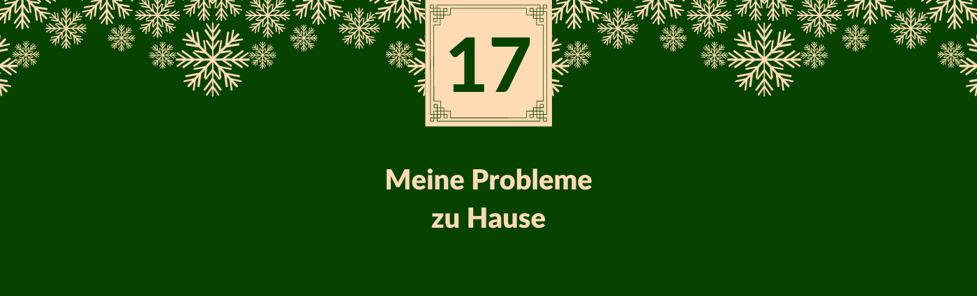 Meine Probleme zu Hause. Darüber ein Feld mit der Zahl 17, verziert mit Schneeflocken.